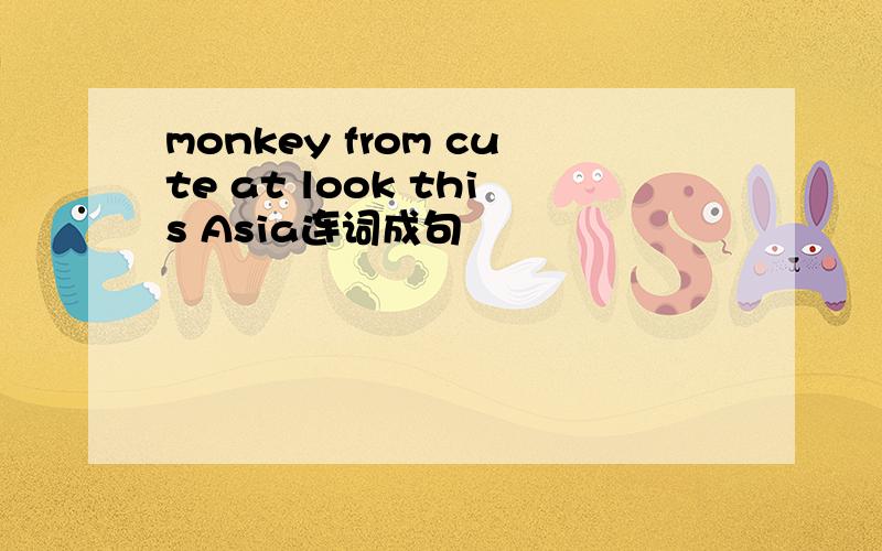monkey from cute at look this Asia连词成句