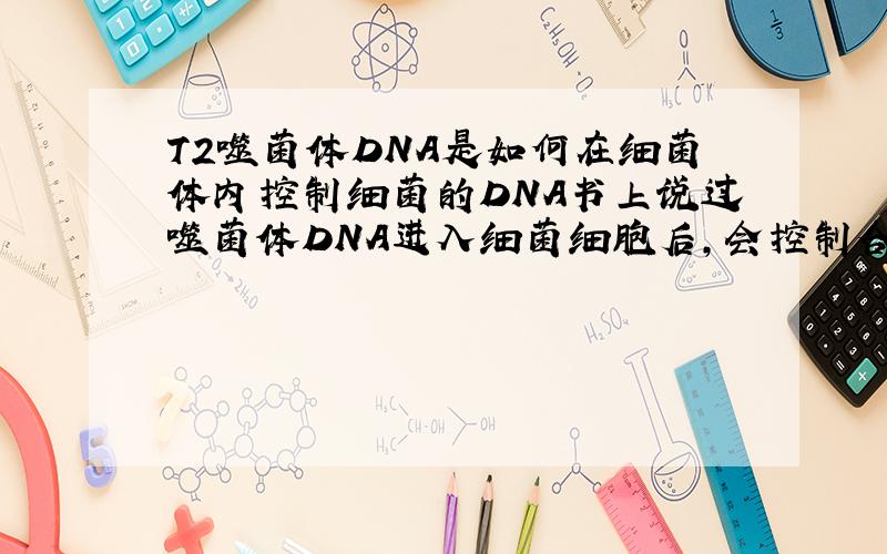 T2噬菌体DNA是如何在细菌体内控制细菌的DNA书上说过噬菌体DNA进入细菌细胞后,会控制合成噬菌体自己需要的物质那么这时被入侵的细菌的DNA干嘛去了如果噬菌体DNA可以控制生成酶来消化细菌