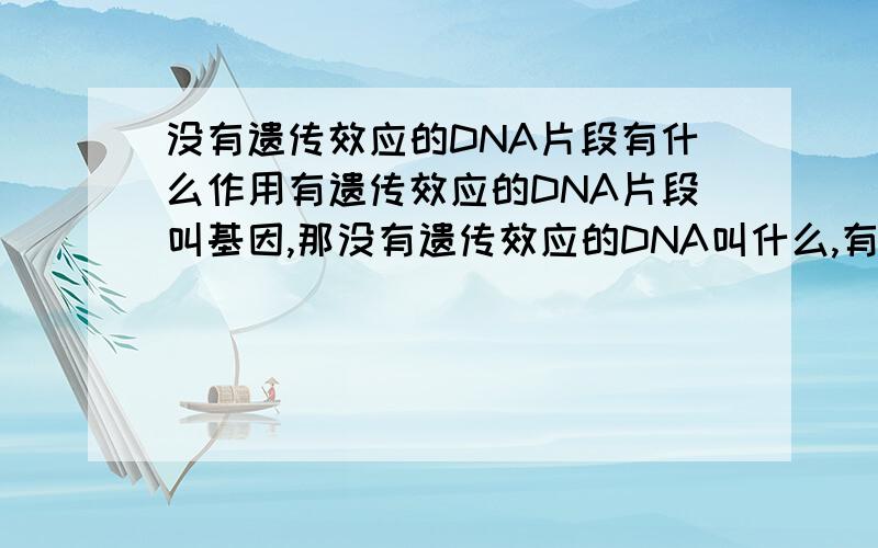 没有遗传效应的DNA片段有什么作用有遗传效应的DNA片段叫基因,那没有遗传效应的DNA叫什么,有什么作用?