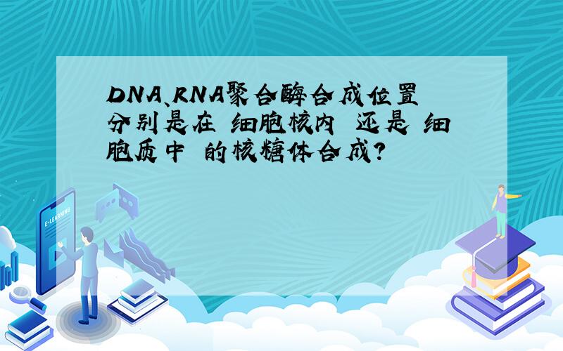 DNA、RNA聚合酶合成位置分别是在 细胞核内 还是 细胞质中 的核糖体合成?