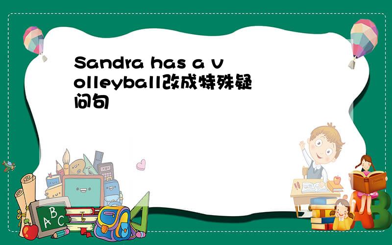 Sandra has a volleyball改成特殊疑问句