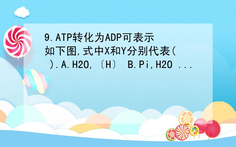 9.ATP转化为ADP可表示如下图,式中X和Y分别代表( ).A.H2O,〔H〕 B.Pi,H2O ...
