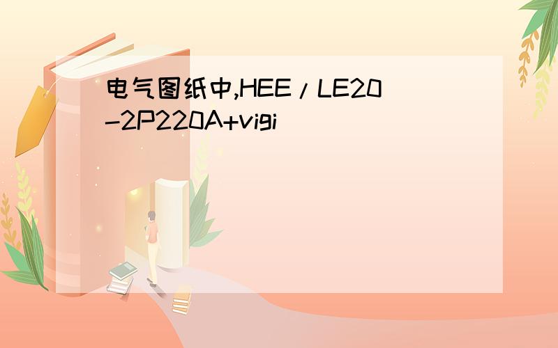 电气图纸中,HEE/LE20-2P220A+vigi
