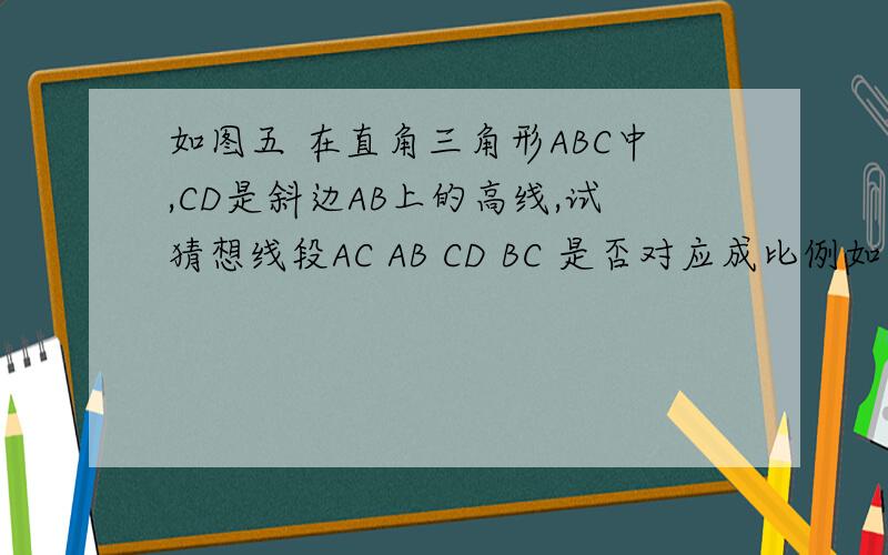 如图五 在直角三角形ABC中,CD是斜边AB上的高线,试猜想线段AC AB CD BC 是否对应成比例如果成比例 写出这个比例式 并验证 如不能 说明理由图在这里