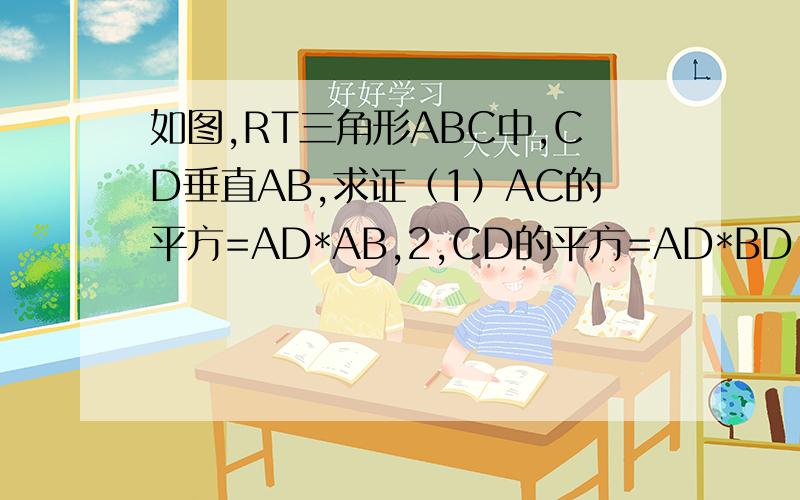 如图,RT三角形ABC中,CD垂直AB,求证（1）AC的平方=AD*AB,2,CD的平方=AD*BD,3,BC的平方=BD*AB