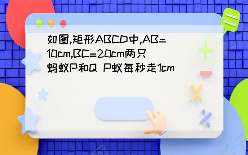 如图,矩形ABCD中,AB=10cm,BC=20cm两只蚂蚁P和Q P蚁每秒走1cm