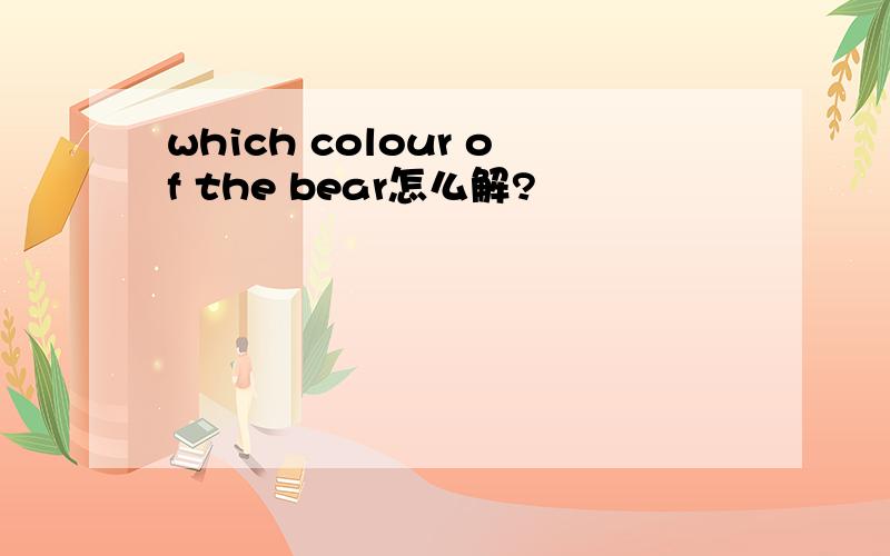 which colour of the bear怎么解?