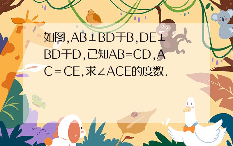 如图,AB⊥BD于B,DE⊥BD于D,已知AB=CD,AC＝CE,求∠ACE的度数.