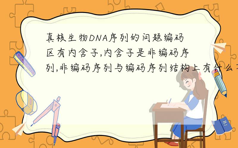 真核生物DNA序列的问题编码区有内含子,内含子是非编码序列,非编码序列与编码序列结构上有什么不同呢?