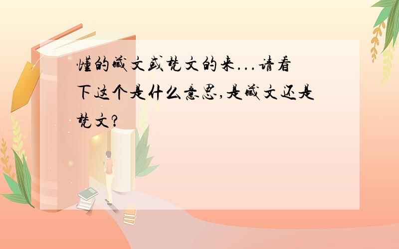 懂的藏文或梵文的来...请看下这个是什么意思,是藏文还是梵文?
