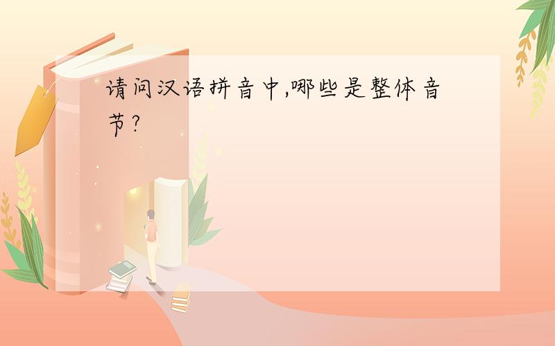 请问汉语拼音中,哪些是整体音节?