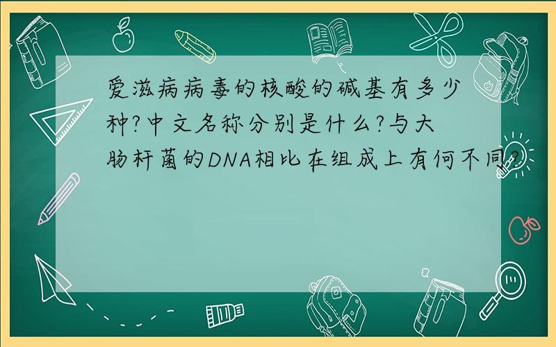 爱滋病病毒的核酸的碱基有多少种?中文名称分别是什么?与大肠杆菌的DNA相比在组成上有何不同?