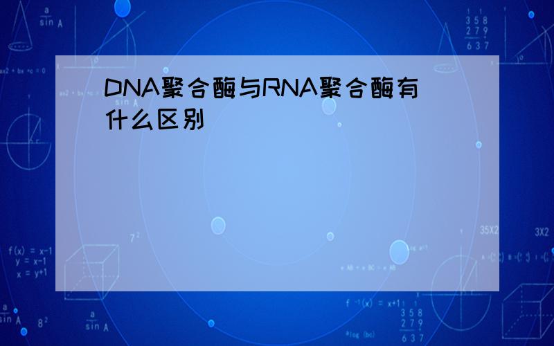 DNA聚合酶与RNA聚合酶有什么区别