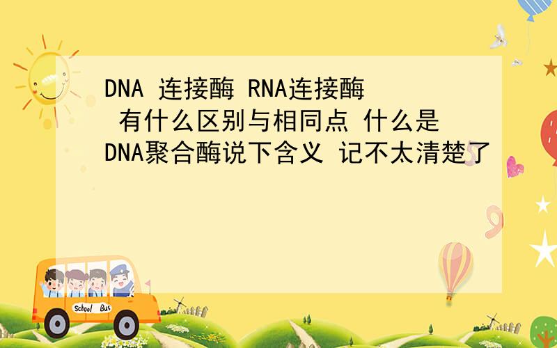 DNA 连接酶 RNA连接酶 有什么区别与相同点 什么是DNA聚合酶说下含义 记不太清楚了