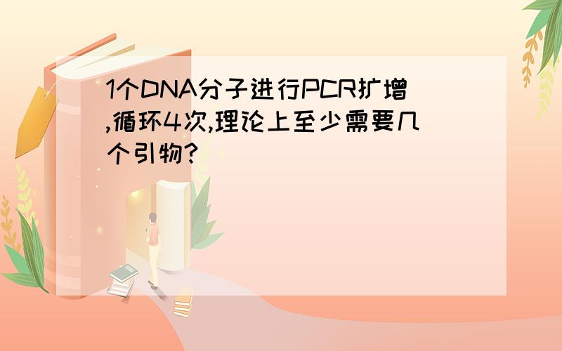 1个DNA分子进行PCR扩增,循环4次,理论上至少需要几个引物?
