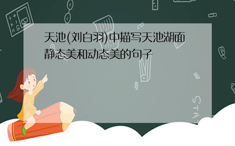 天池(刘白羽)中描写天池湖面静态美和动态美的句子