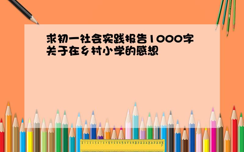 求初一社会实践报告1000字关于在乡村小学的感想