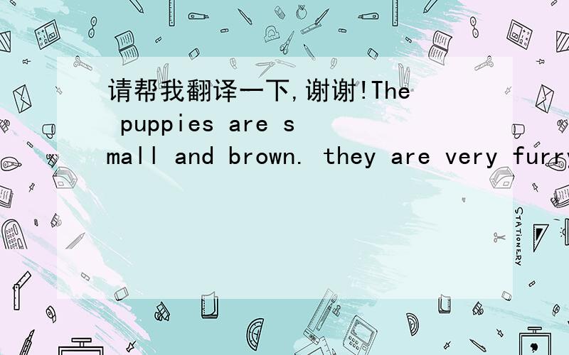 请帮我翻译一下,谢谢!The puppies are small and brown. they are very furry.我孩子的回家作业,我不会,谢谢了!