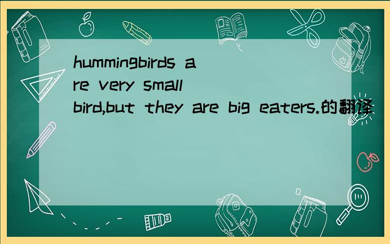 hummingbirds are very small bird,but they are big eaters.的翻译