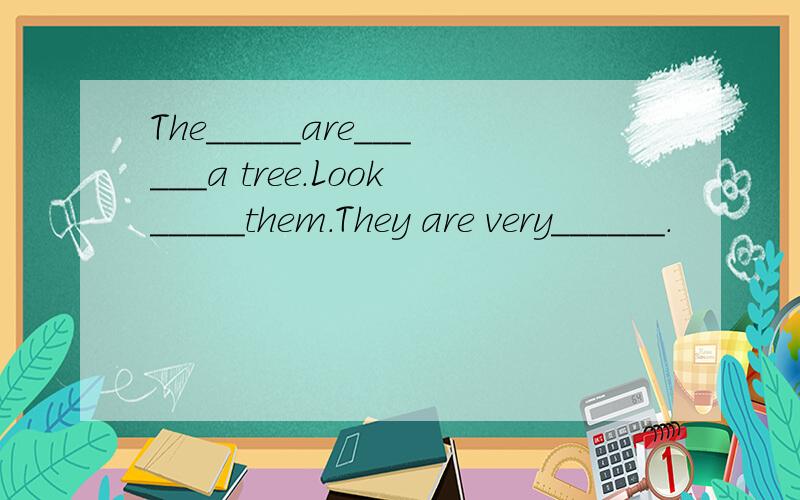 The_____are______a tree.Look_____them.They are very______.