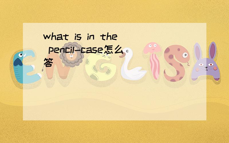 what is in the pencil-case怎么答