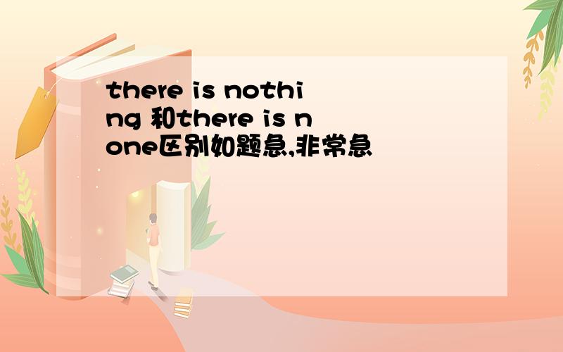 there is nothing 和there is none区别如题急,非常急