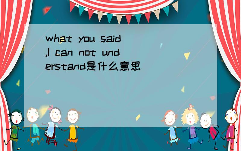 what you said ,I can not understand是什么意思