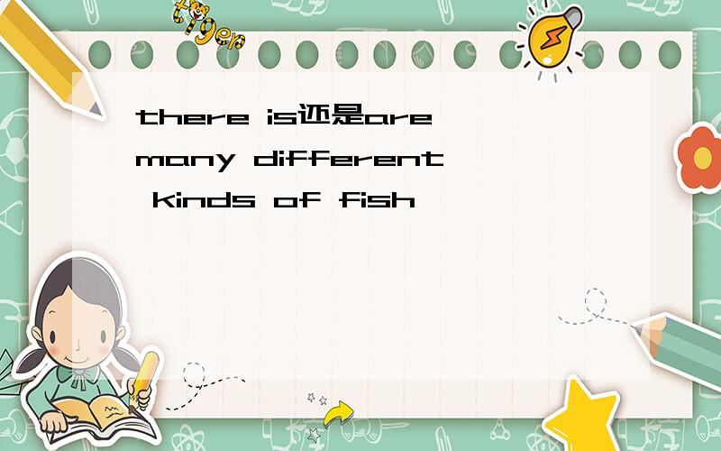 there is还是are many different kinds of fish