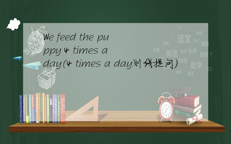 We feed the puppy 4 times a day（4 times a day划线提问）