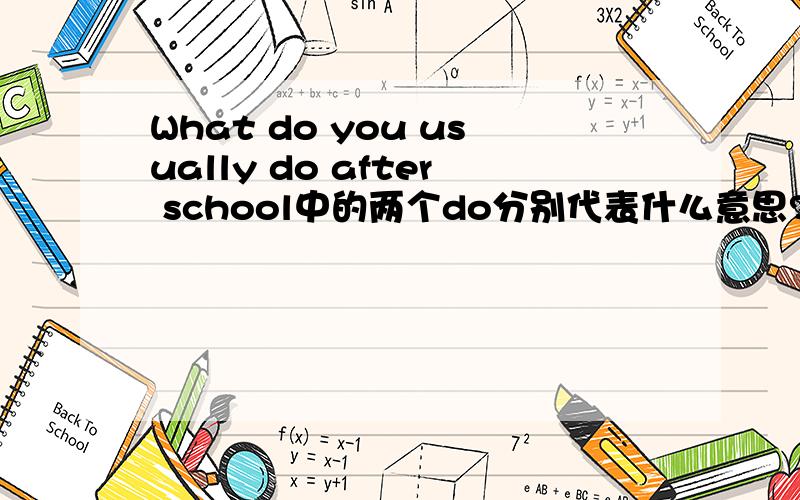 What do you usually do after school中的两个do分别代表什么意思?