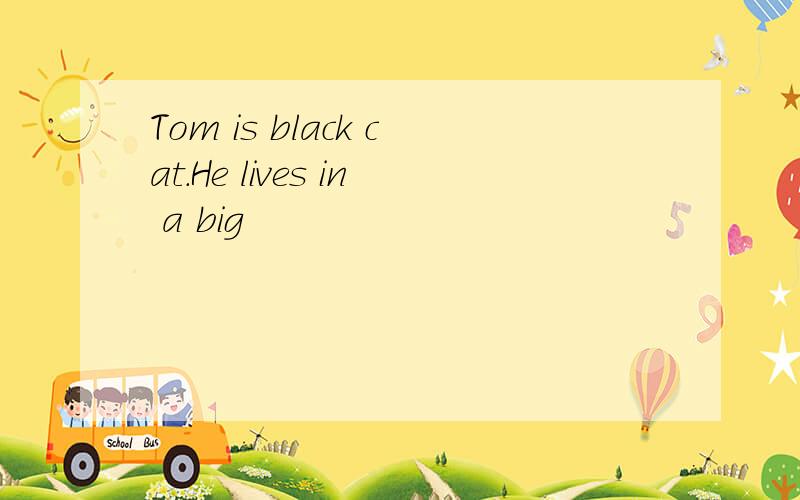 Tom is black cat.He lives in a big