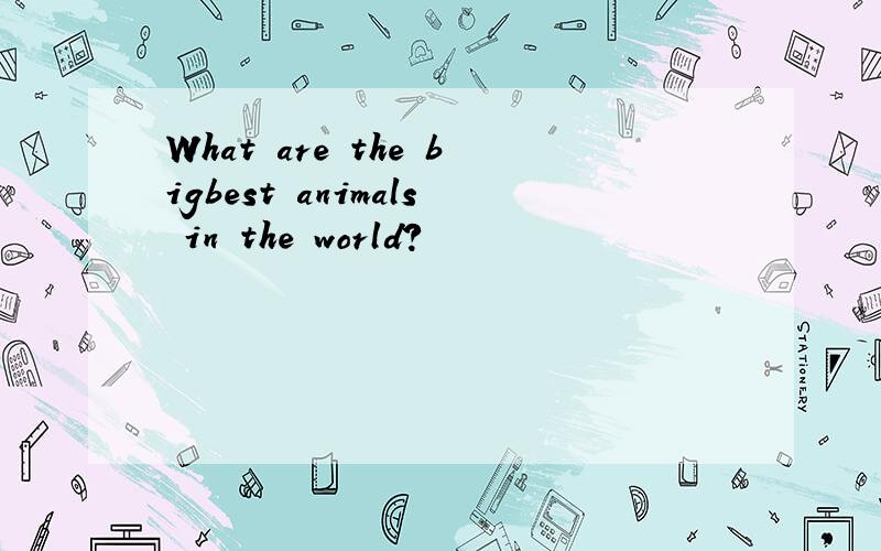 What are the bigbest animals in the world?