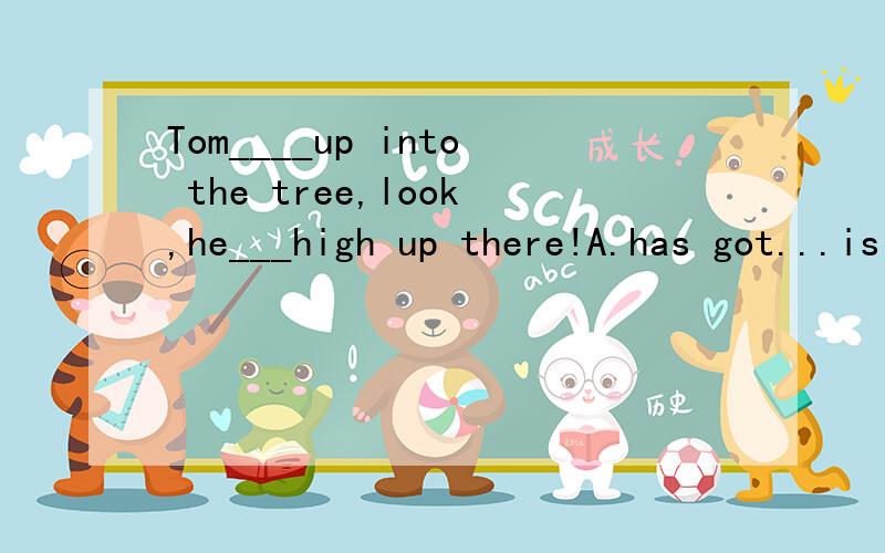 Tom____up into the tree,look,he___high up there!A.has got...is B.has blimbed...was C.got...was D.blimbed...is