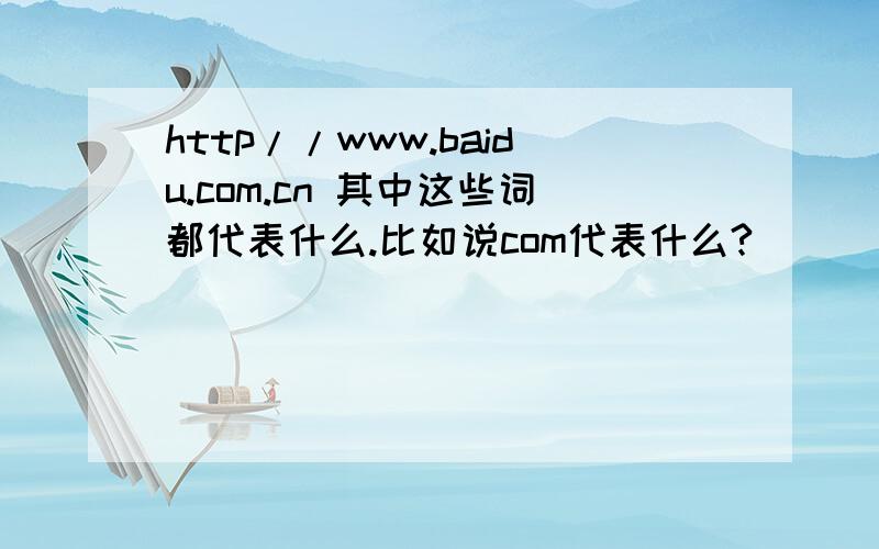 http//www.baidu.com.cn 其中这些词都代表什么.比如说com代表什么?