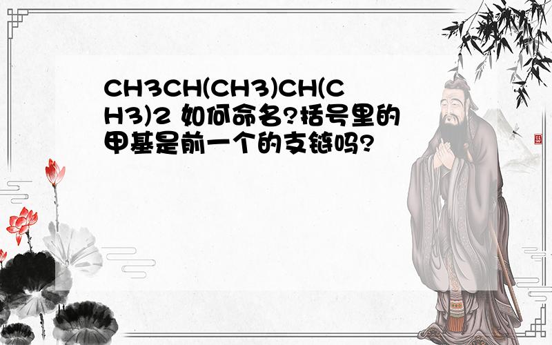 CH3CH(CH3)CH(CH3)2 如何命名?括号里的甲基是前一个的支链吗?
