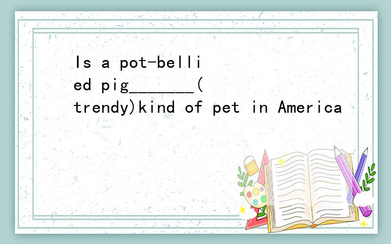 Is a pot-bellied pig_______(trendy)kind of pet in America