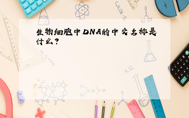生物细胞中DNA的中文名称是什么?