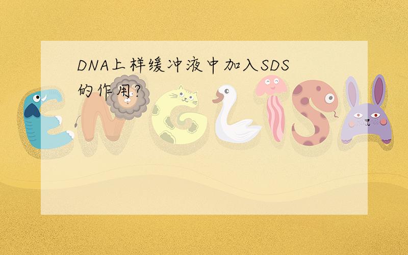 DNA上样缓冲液中加入SDS的作用?