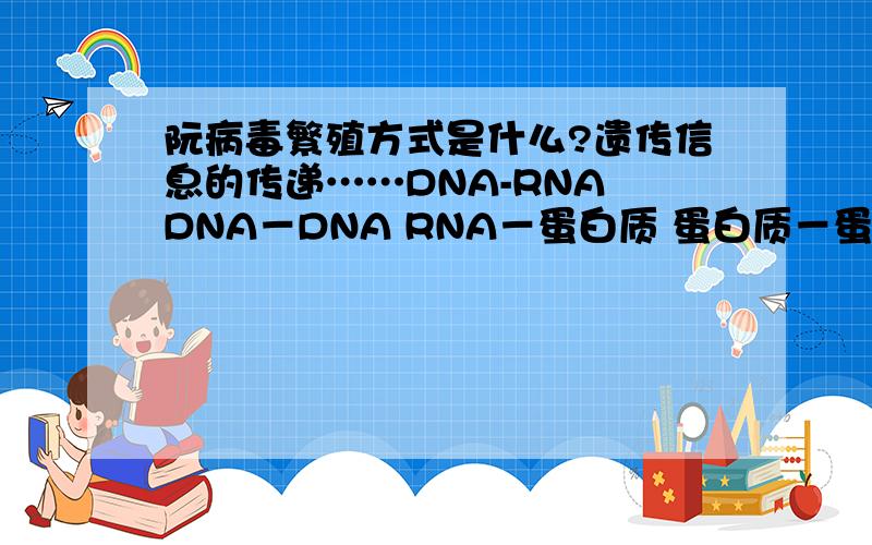 阮病毒繁殖方式是什么?遗传信息的传递……DNA-RNA DNA－DNA RNA－蛋白质 蛋白质－蛋白质