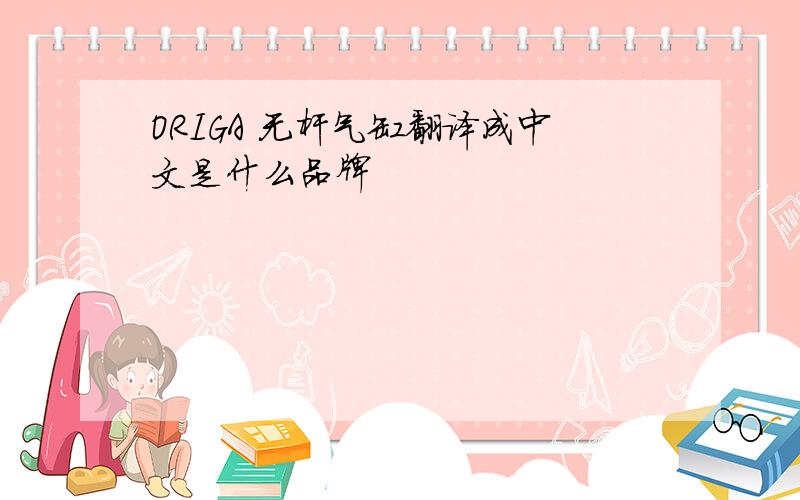 ORIGA 无杆气缸翻译成中文是什么品牌