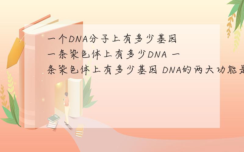 一个DNA分子上有多少基因 一条染色体上有多少DNA 一条染色体上有多少基因 DNA的两大功能是什么