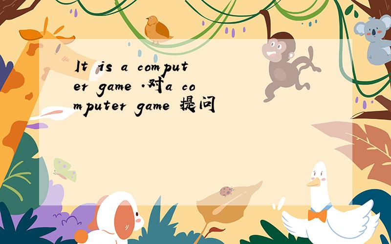 It is a computer game .对a computer game 提问