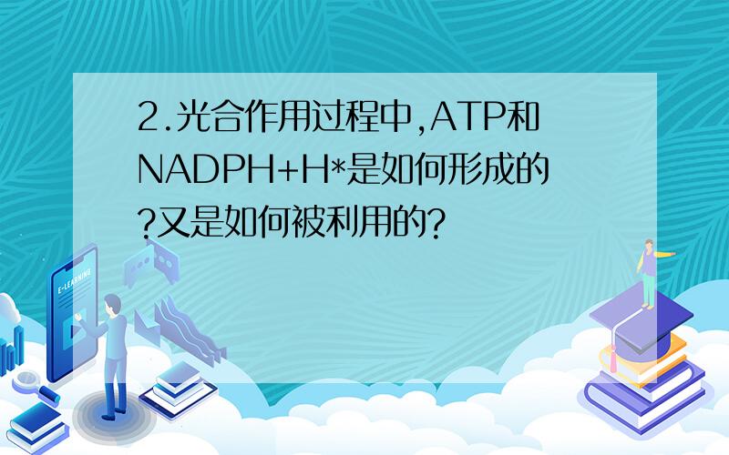 2.光合作用过程中,ATP和NADPH+H*是如何形成的?又是如何被利用的?
