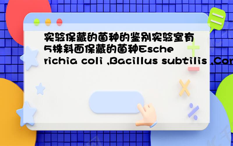 实验保藏的菌种的鉴别实验室有5株斜面保藏的菌种Escherichia coli ,Bacillus subtilis ,Corynebacterium Pekinese ,Saccharomyces cerevisiae 和Schizosaccharomyces octosporus ,现标签不慎遗失,请设计一个简单的实验对其