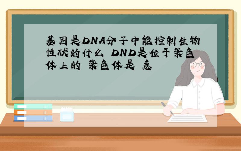 基因是DNA分子中能控制生物性状的什么 DND是位于染色体上的 染色体是 急