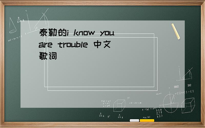 泰勒的i know you are trouble 中文歌词