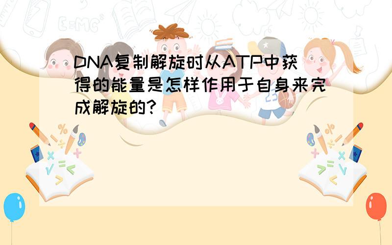 DNA复制解旋时从ATP中获得的能量是怎样作用于自身来完成解旋的?