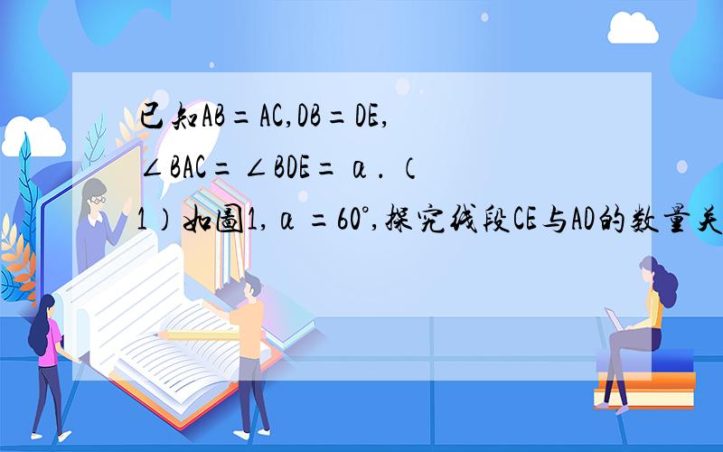 已知AB=AC,DB=DE,∠BAC=∠BDE=α． （1）如图1,α=60°,探究线段CE与AD的数量关系,并加以证明； （2已知AB=AC,DB=DE,∠BAC=∠BDE=α．（1）如图1,α=60°,探究线段CE与AD的数量关系,并加以证明；（2）如图2,α=