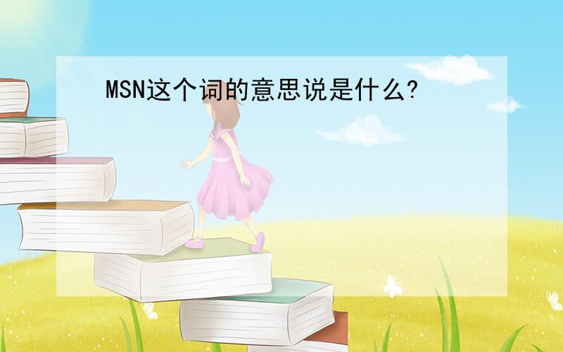 MSN这个词的意思说是什么?