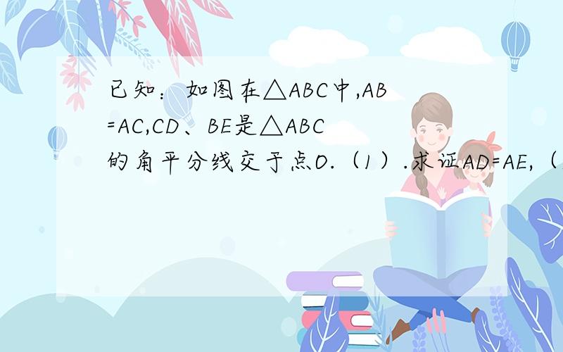 已知：如图在△ABC中,AB=AC,CD、BE是△ABC的角平分线交于点O.（1）.求证AD=AE,（2）判断AO与BC的位置关系